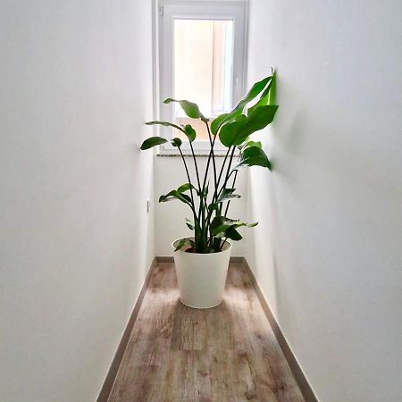 Ljubljana Central Cozy Apartment W Free Parking Ngoại thất bức ảnh